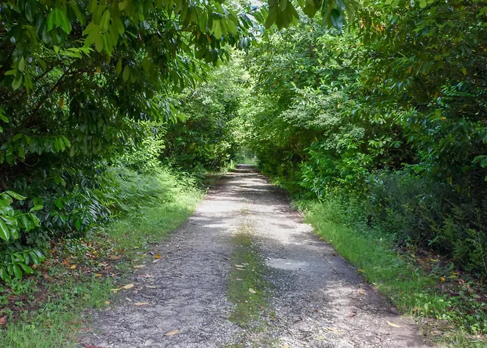 Domaine De Laguneaussan Bed and breakfast Lesparre-Médoc